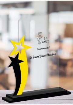 Personalized trophy with stars Thumb