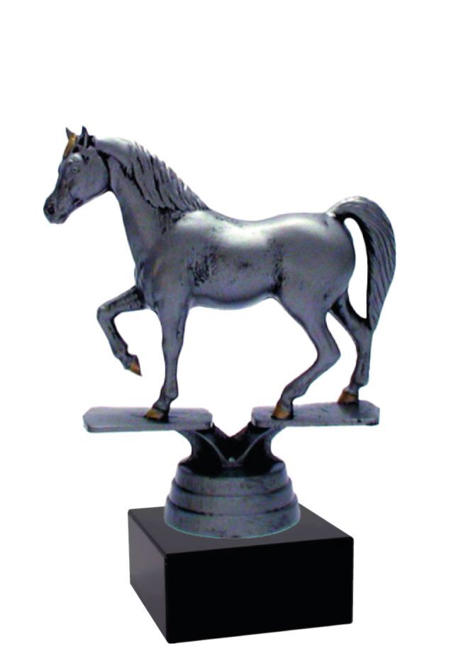 Trofeo caballos