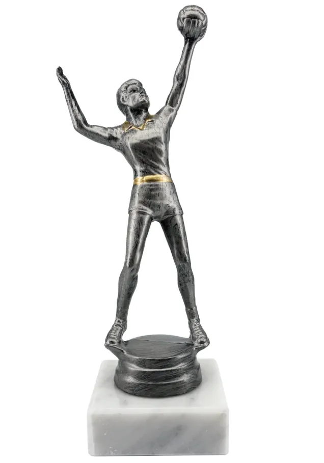 Herren-Volleyball-Trophäen