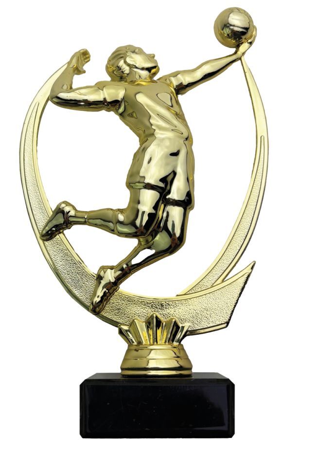 Volleyball Trophy