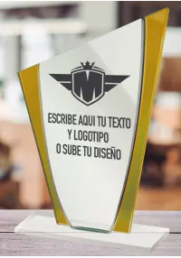 Trofeo de acrlico azul y plata