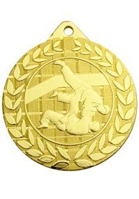 Judo sports medal