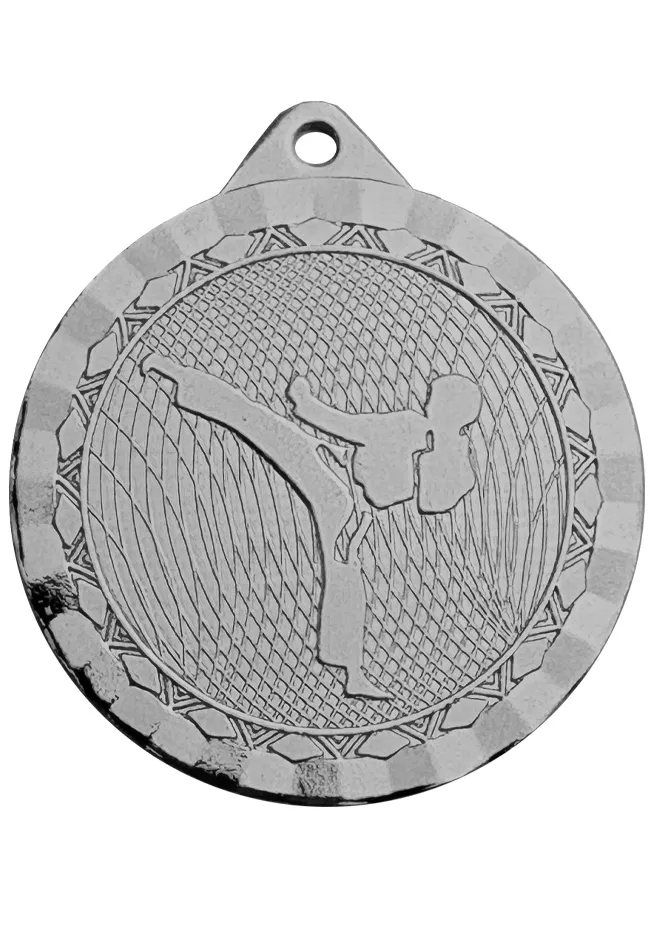 Medalla de karate deportiva Medalla de karate deportiva