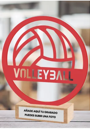 Volleyball-Trophäe aus Methacrylat und Holz