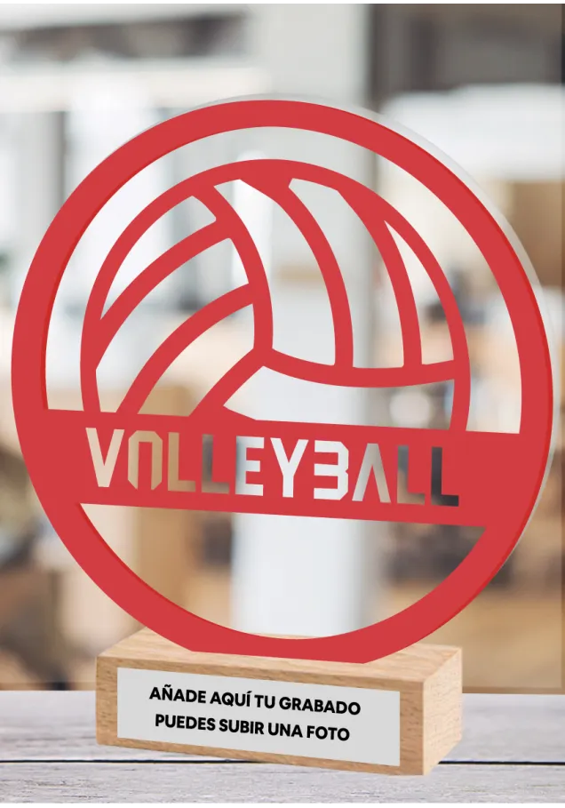 Volleyball-Trophäe aus Methacrylat und Holz