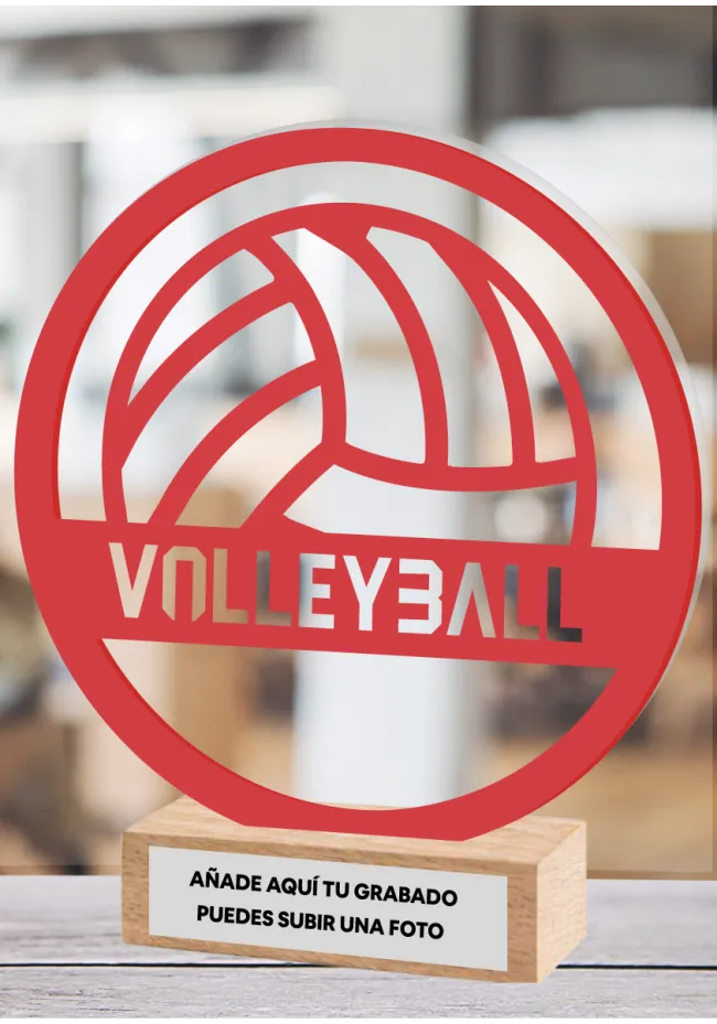 Trofeo de voleibol en metacrilato y madera