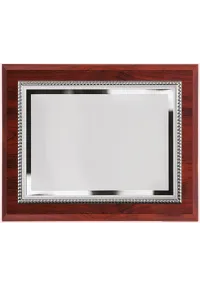 Placa conmemorativa grande plateada borde