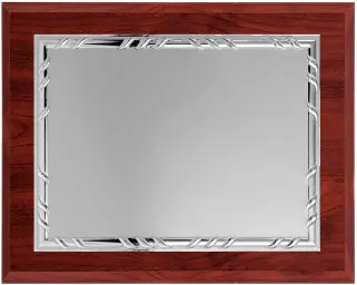 Placa de homaje grande plateada con borde