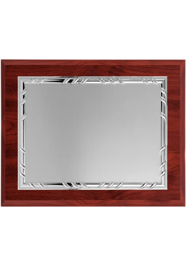 Placa de homaje grande plateada con borde Placa de homaje grande plateada con borde