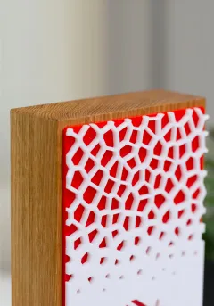 Wooden and openwork acrylic trophy Thumb