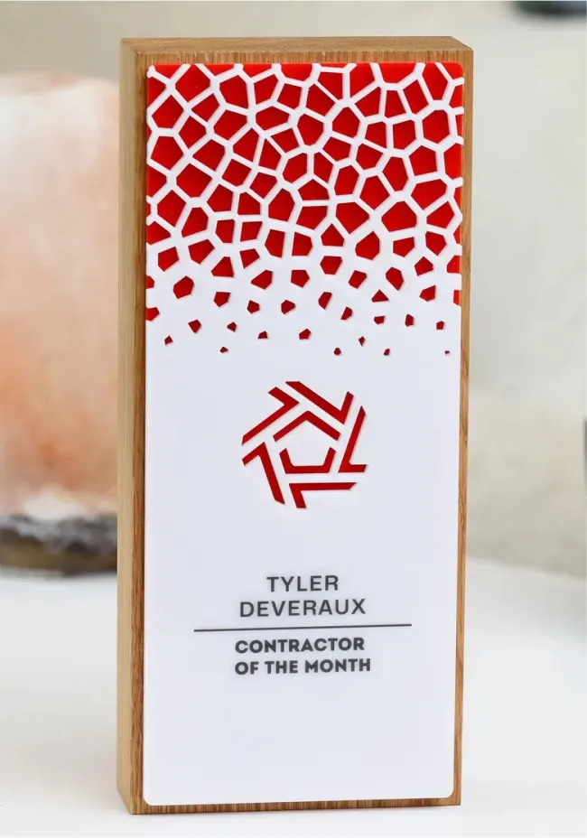 Wooden and openwork acrylic trophy