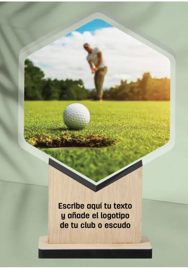 Acrylic and wood golf trophy