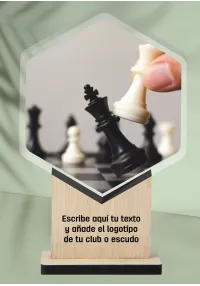 Chess trophy in acrylic and wood