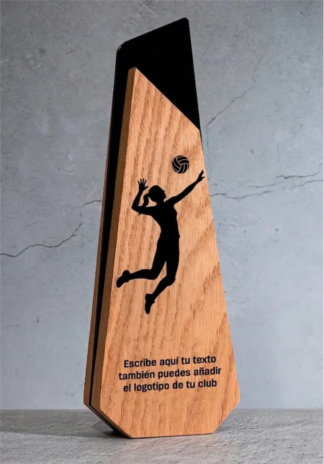 Trophée de volley-ball en bois
