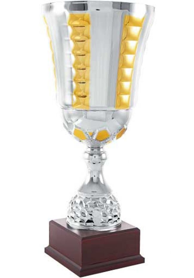 Trofeo copa sacalili bicolor