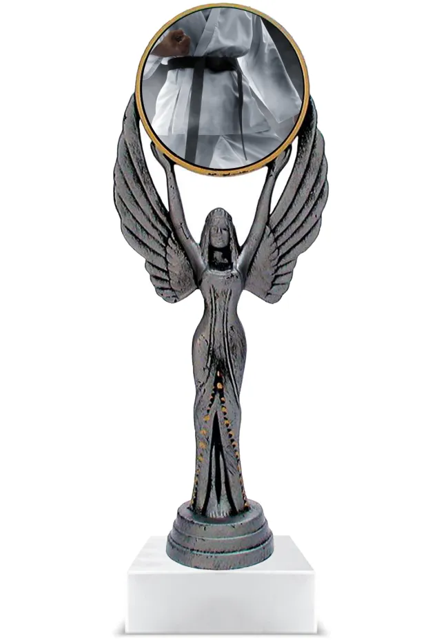 Trofeo personalizado de resina karate