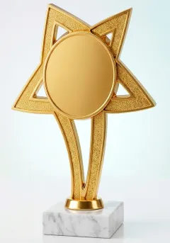 Trofeo stella d'oro con disco centrale Thumb
