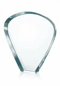 Troféu de cristal com design abstrato moderno - Placa de premiação personalizável