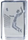Trofeo cristal 3D Volley Masculino Thumb