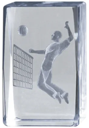 Männlich Volley 3D-Kristall-Trophäe