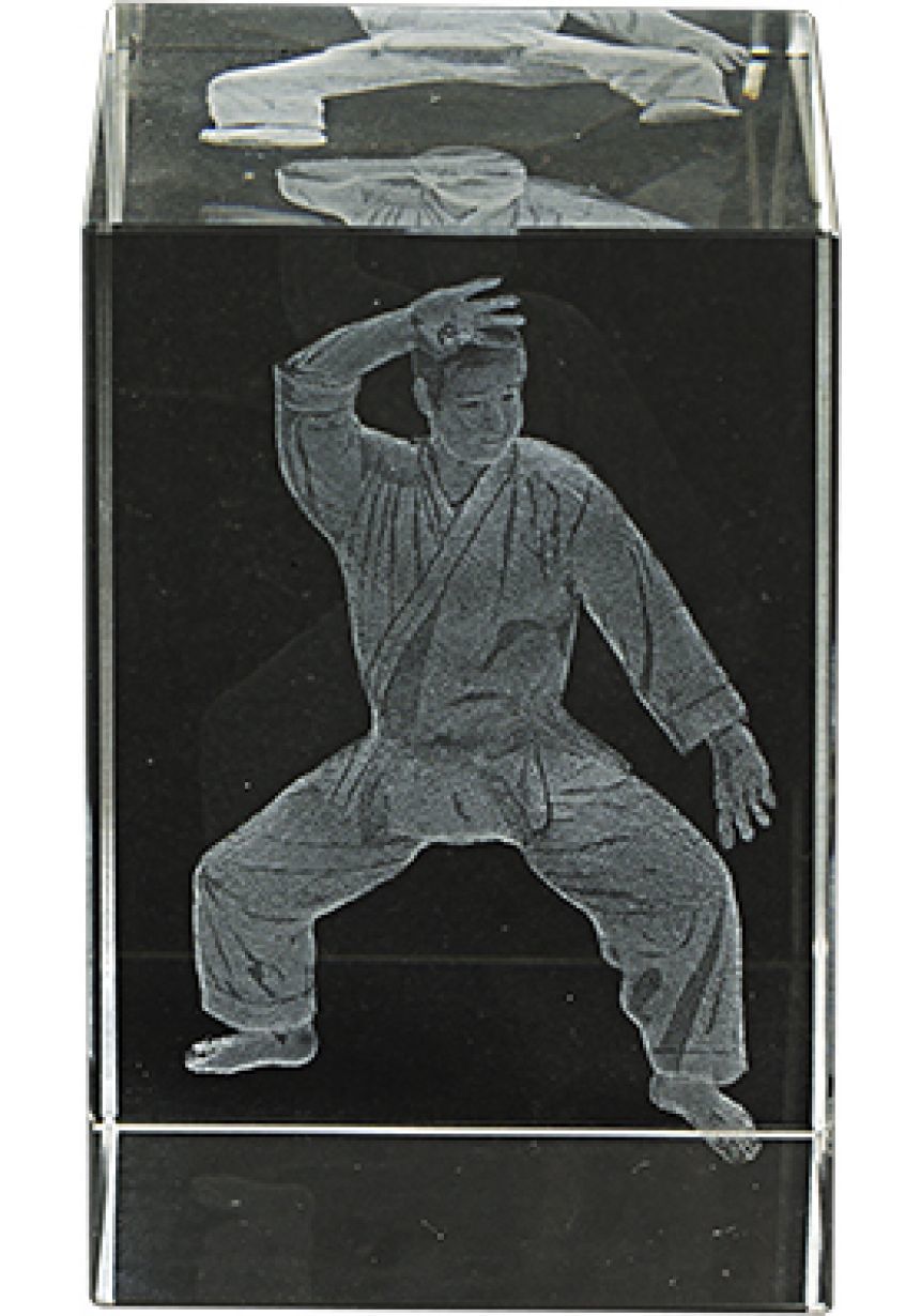 Trofeo cristal 3D Karate