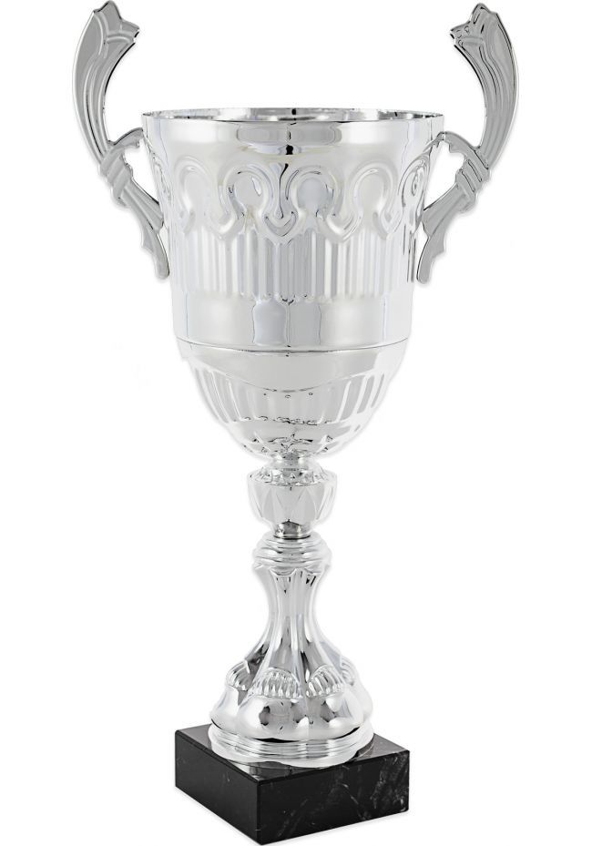 Trofeo copa en plata con lineas cruzadas