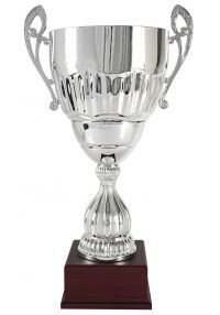 Trofeo copa en plata con lineas cruzadas