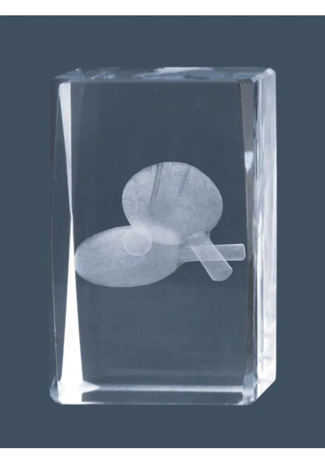 Ping Pong 3D-Kristall-Trophäe