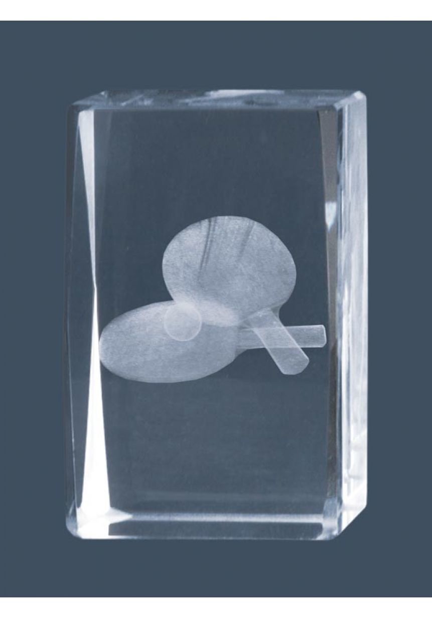 Trofeo cristal 3D Ping Pong