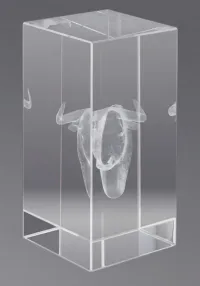 Trofeo cristal 3D Caballos