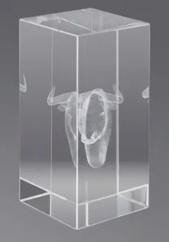 3D crystal trophy Horses Thumb 3D crystal trophy Horses Thumb