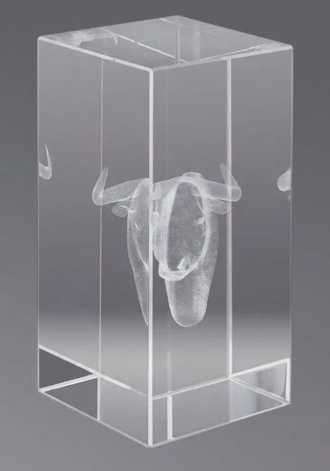 3D crystal trophy Toros
