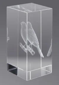 Trofeo cristal 3D Pjaros