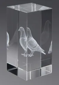 Trofeo cristal 3D Paloma