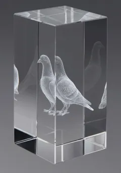 Paloma 3D crystal trophy Thumb