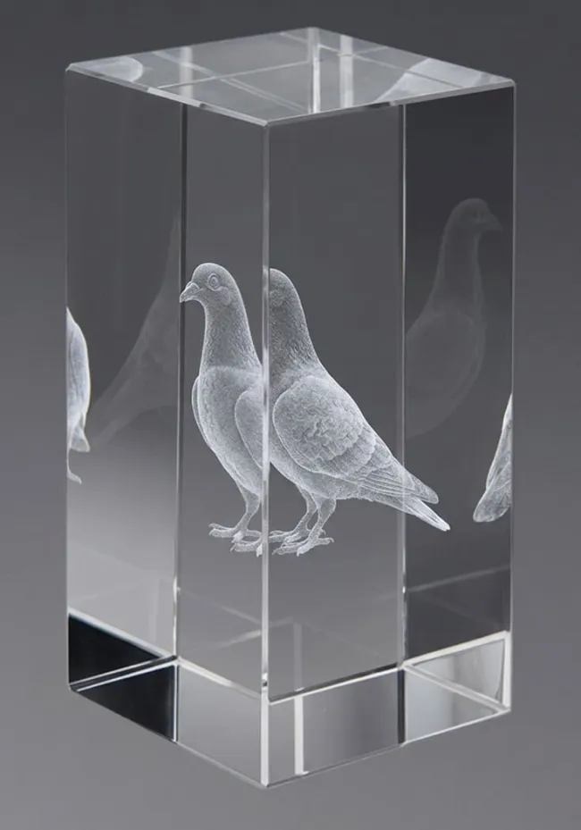 Paloma 3D crystal trophy