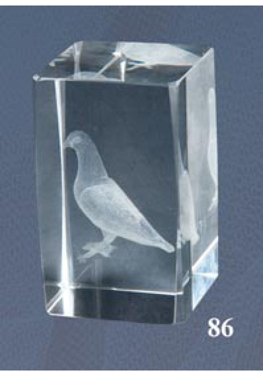 Trofeo cristal 3D Paloma