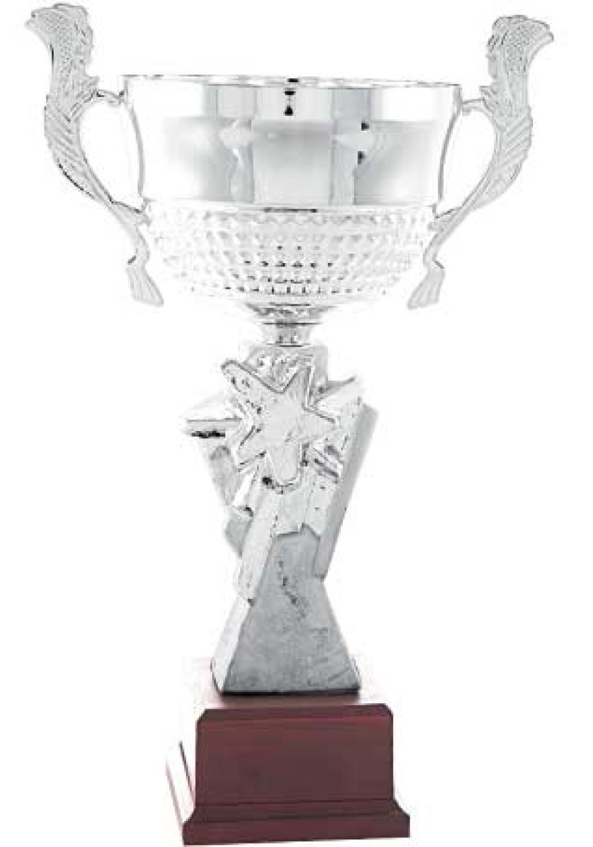 Trofeo copa centro estrella