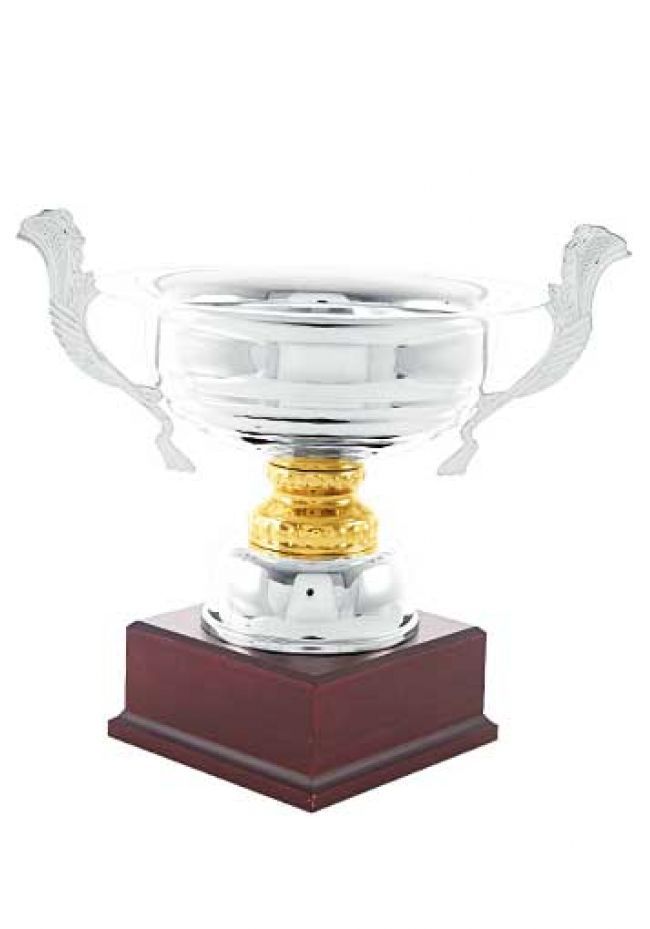 Trofeo copa ensaladera bicolor Trofeo copa ensaladera bicolor