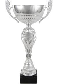 Trofeo copa cesar plateada