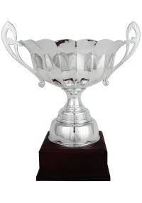 Trofeo copa ensaladera lisa asas