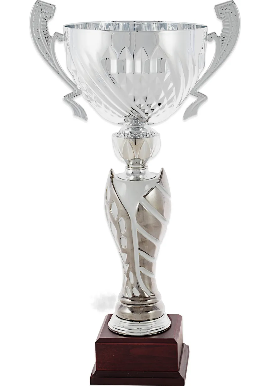 Copa Entrelazada Plata Asas