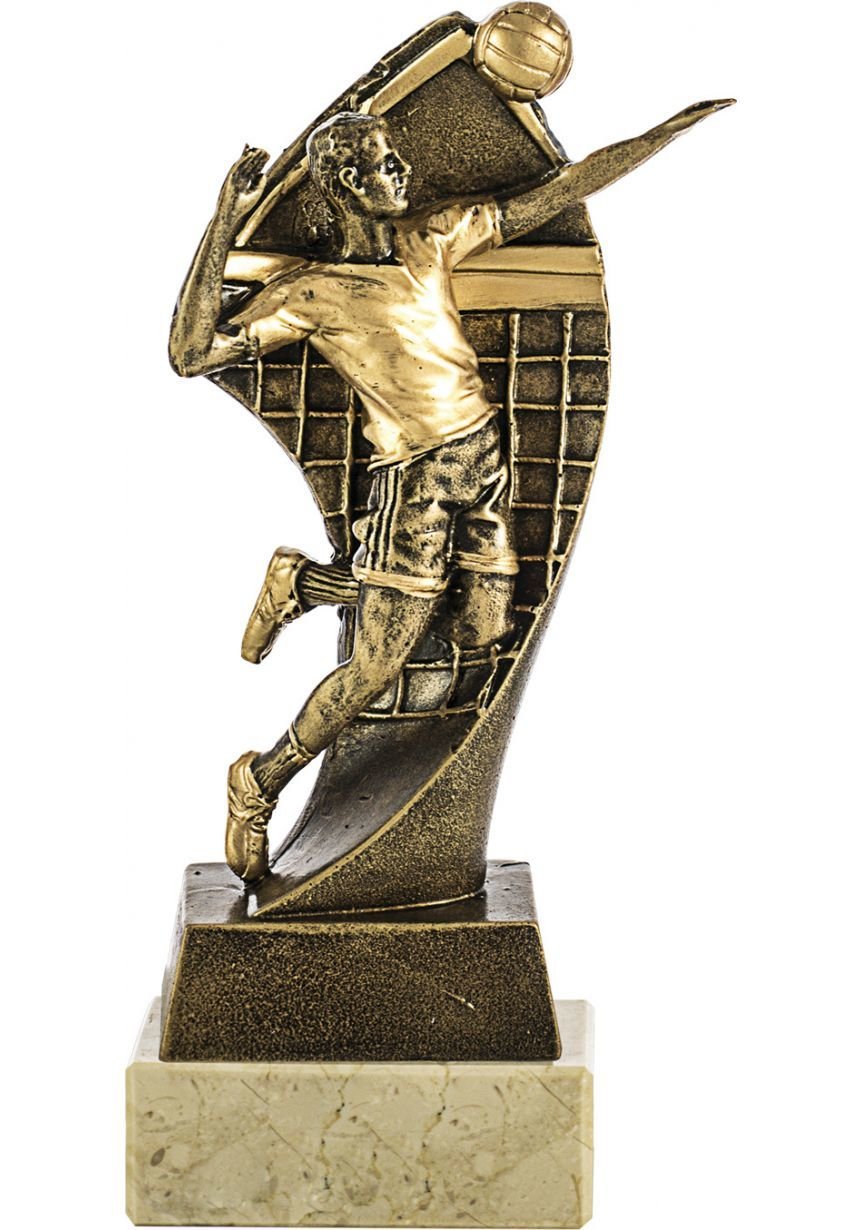 Jugador Volley Dorado