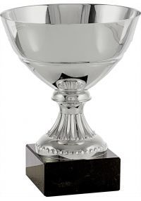 Trofeo Copa Mini Plata-1