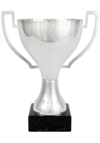 Trofeo Copa Lisa Asas Metal