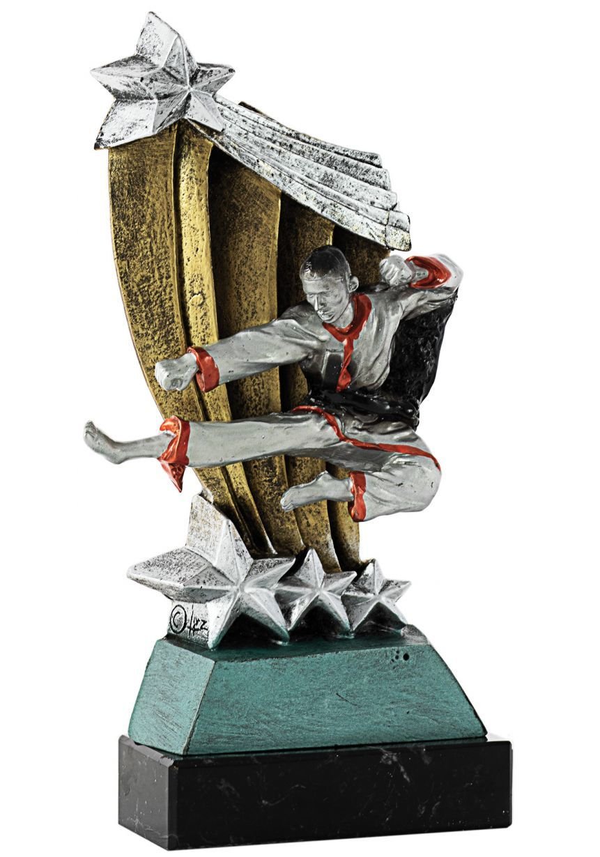 Trofeo patada karate