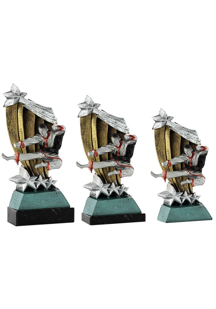 Trofeo patada karate