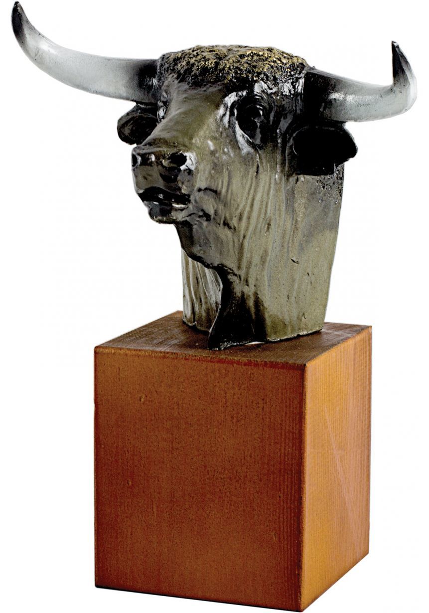 Trofeo de cabeza toro