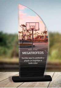 Basketball trophy in methacrylate