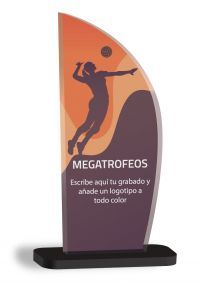 Troféu de Voleibol em Metacrilato